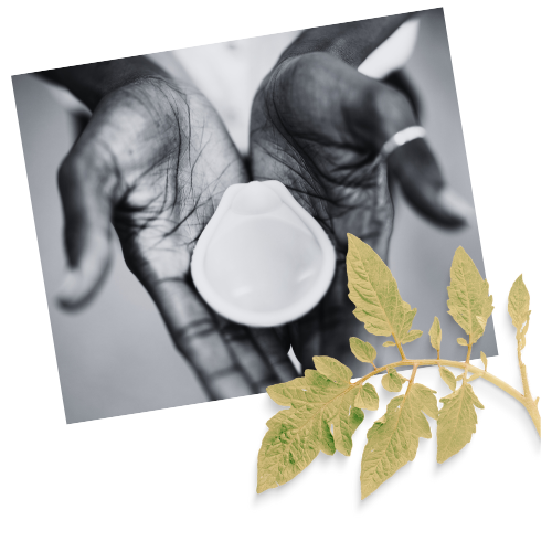 image of Black hands holding a cervical barrier