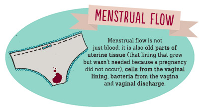 Menstrual flow is not just blood: it is also old parts of uterine tissue (that lining that grew but wasn't needed because a pregnancy did not occur), cells from the vaginal lining, bacteria from the vagina, and vaginal discharge.