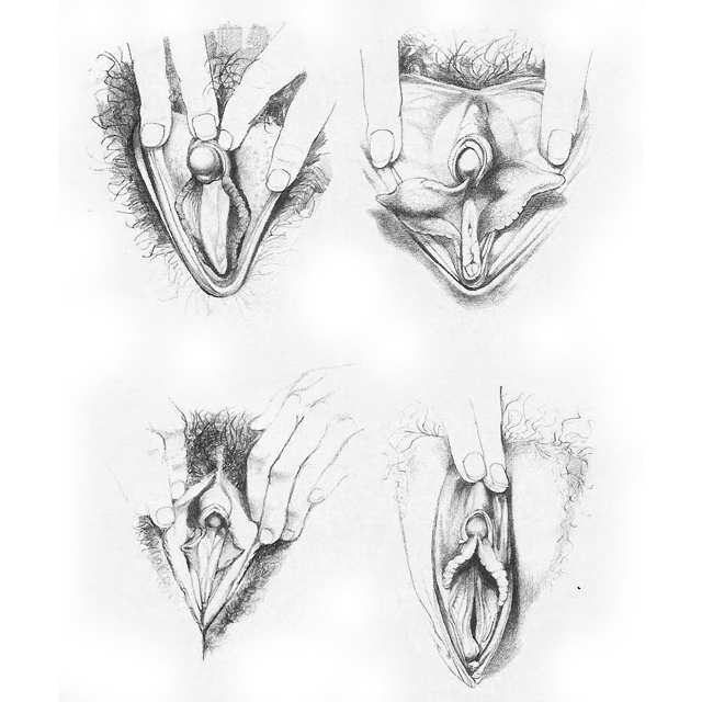 © Betty Dodson.  All rights reserved.