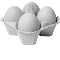 four eggs in monochrome
